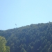 Bald Eagle over the mountains