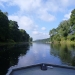 The River