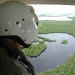 looking out at mangroves