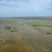 freshwater marl prairie