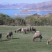 Lake Mead