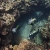 Divers