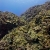 Healthy Reef