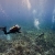 Reef Above Cave