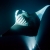 Manta 1