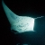 Manta 10