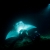 Manta 5