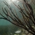 Shallow Seascape
