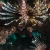 Lionfish