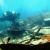 Fish Survey