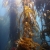 Great Visibility