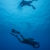 Divers Descending 