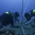 Underwater Splicing 