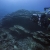Giant Coral Head