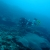 Whale Rock