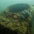 USS UTAH
