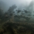 Pearl Harbor Fish 