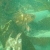 dsc03564