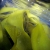 2012_aaus_10