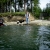 2012_aaus_16