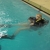 2012_aaus_1