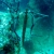 DIGITAL CAMERA