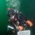 Kelly Underwater