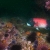 Sheephead