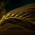 Kelp Detail 1