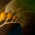 Kelp detail 2