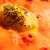 Lemon Dorid