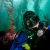 Kelp forest self-portrait