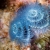 Blue Worms