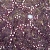 Sea Star Detail 5