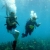 1st Survey Dive