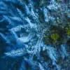 SnowflakeDetail