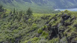 KauhakoRim
