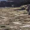 SaltPools