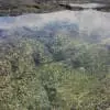 UrchinPools