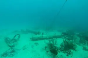 The GUAP site, a living museum in the sea