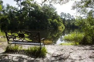 A small lake in Wekiwa Springs park.